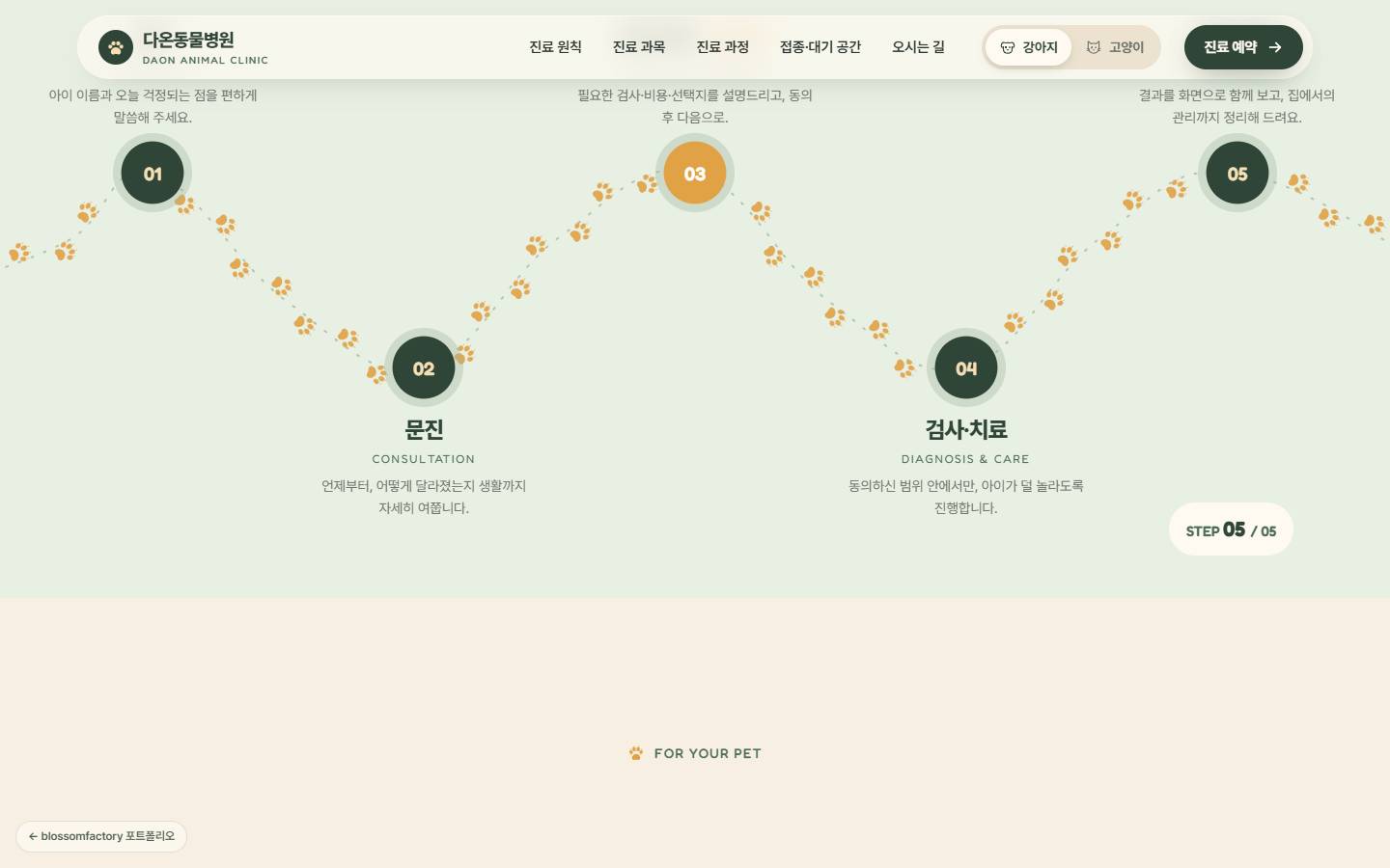 세이지 배경 위 지그재그 점선을 따라 허니색 발자국이 이어지고, 01부터 05까지 단계 원 중 03 설명·동의만 허니색으로 강조된 진료 과정 화면
