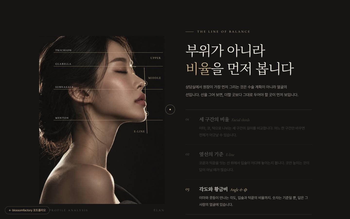 옆얼굴 사진 위에 트리키온, 글라벨라, 서브나잘레, 멘톤 기준선과 E-line이 금선으로 그려진 균형의 선 도해, 오른쪽에 세 구간 비율, 옆선, 각도와 황금비 설명