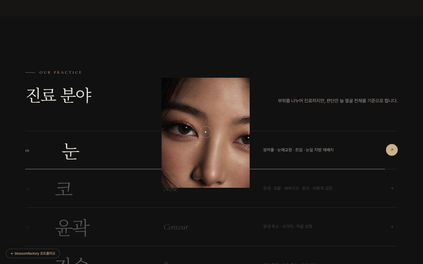 큰 세리프 글자로 눈, 코, 윤곽을 나열한 진료 분야 목록과 '눈' 항목 위로 떠오른 눈매 사진